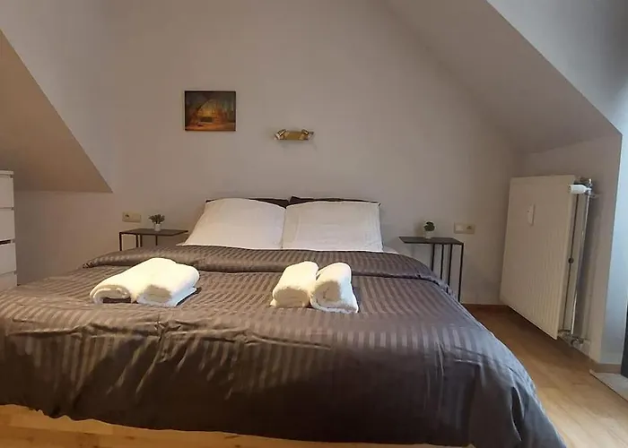 Charming 1-Bedroom Apartment